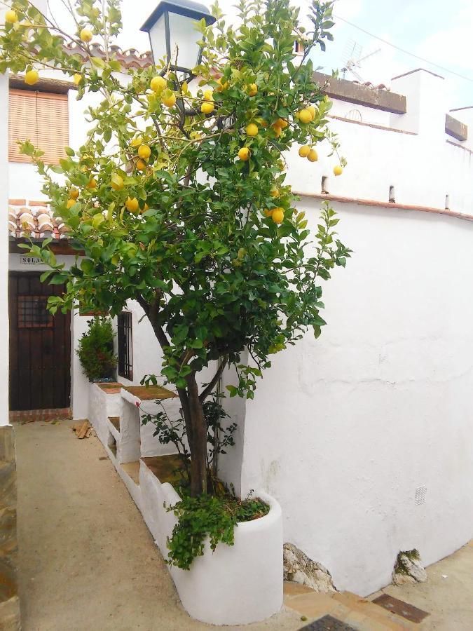 הוילה Benadalid Casa Solana מראה חיצוני תמונה